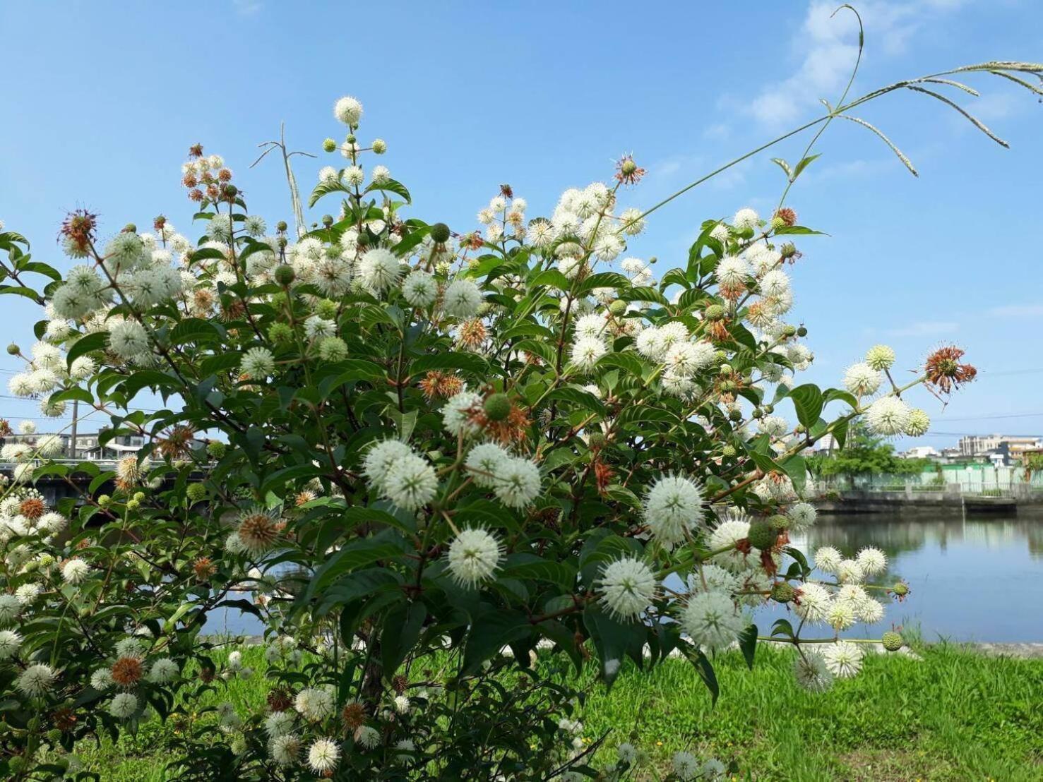 Yilan B&B - Happy Snail Wujie Εξωτερικό φωτογραφία